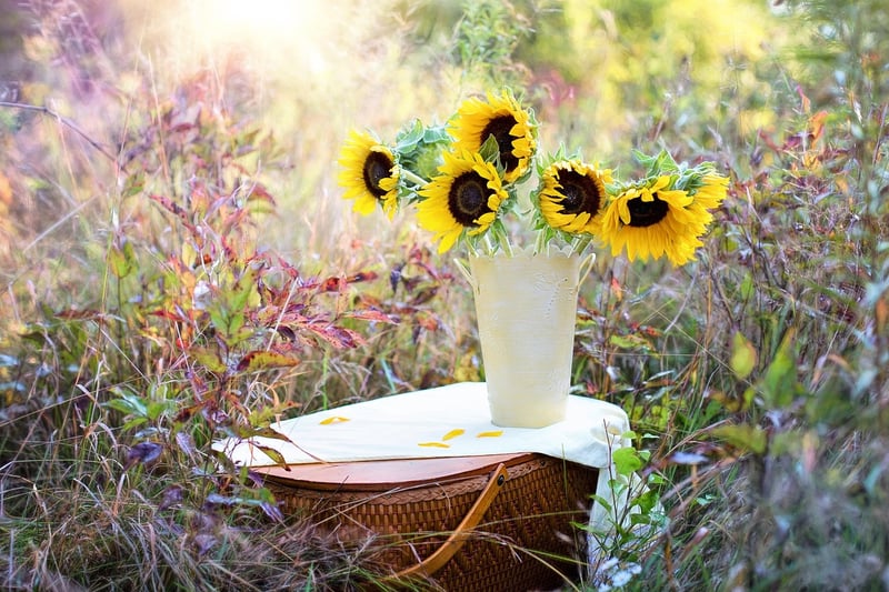 Biodegradable Crafting